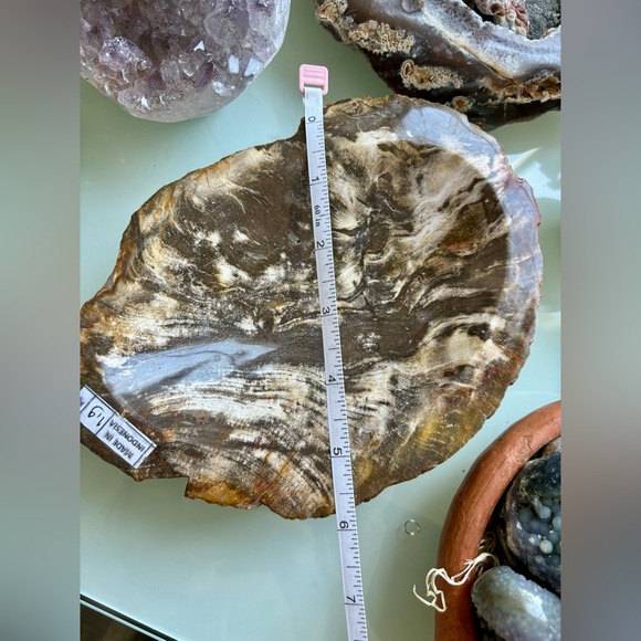 Petrified Wood Bowl - Picture 8 of 8